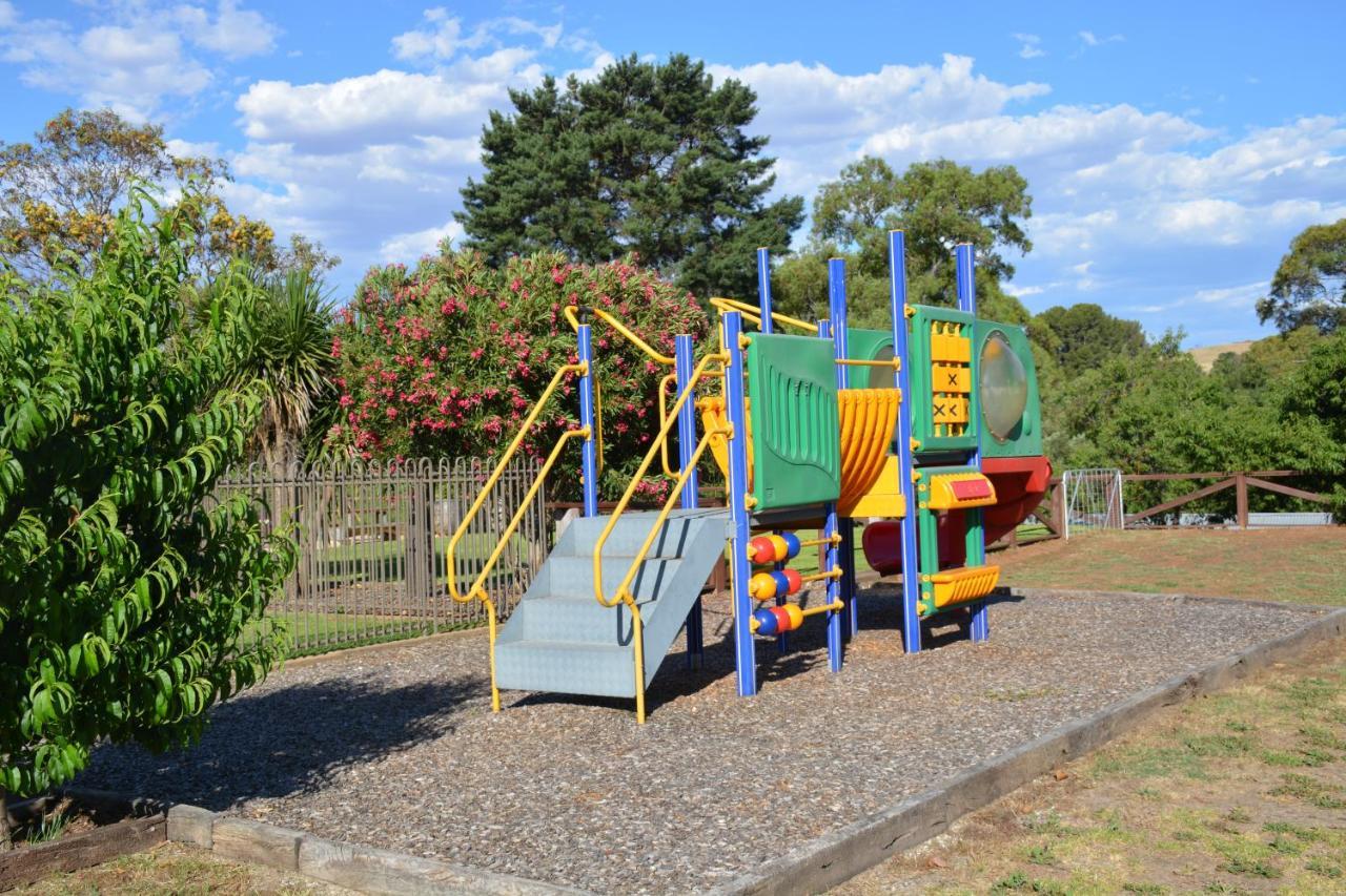 Angaston Vineyards Motel Bagian luar foto