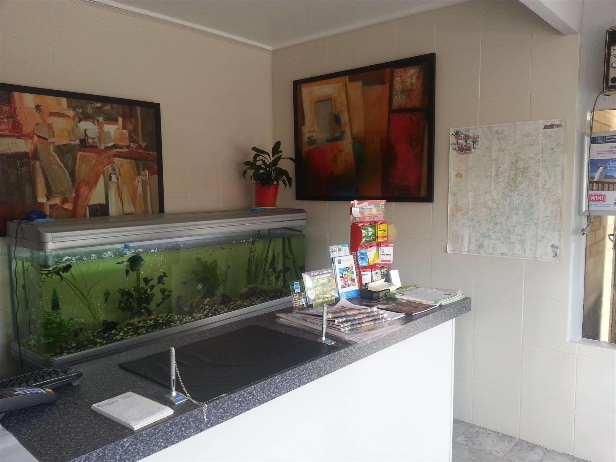 Angaston Vineyards Motel Bagian luar foto