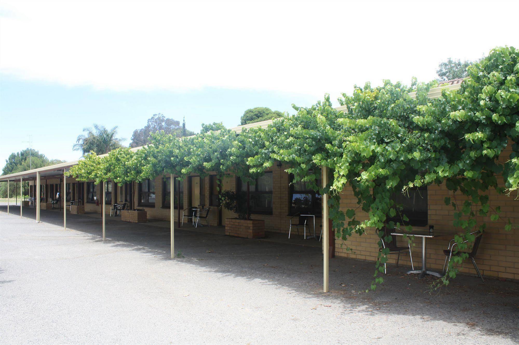 Angaston Vineyards Motel Bagian luar foto