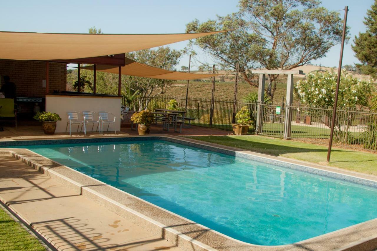 Angaston Vineyards Motel Bagian luar foto