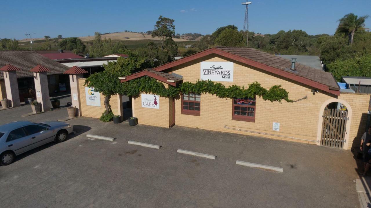 Angaston Vineyards Motel Bagian luar foto