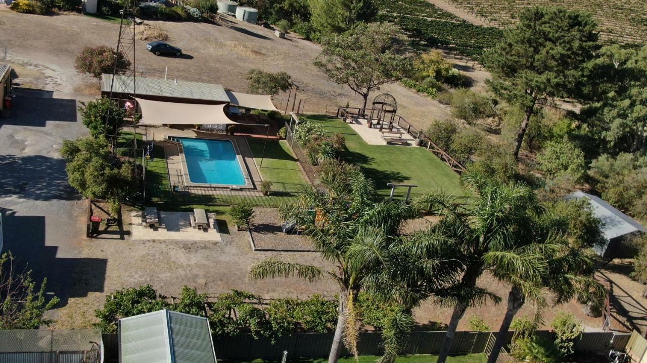 Angaston Vineyards Motel Bagian luar foto